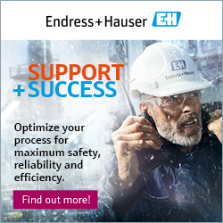 Endress + Hauser 2023